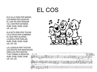 EL COS
ELS ULLS SÓN PER MIRAR,
LES MANS PER AGAFAR.
EL CAP ÉS PER PENSAR
I EL COR PER ESTIMAR.
XUBI, DUBI, DUBI, DUBI
UÀ, UÀ, UÀ.

ELS DITS SÓN PER TOCAR
I ELS PEUS PER CAMIMAR.
EL NAS PER OLORAR,
LA BOCA PER PARLAR.
XUBI, DUBI, DUBI, DUBI
UÀ, UÀ, UÀ.

LA LLENGUA PER TASTAR,
LES DENTS PER MASTEGAR.
ORELLES PER SENTIR.
T‟HO TORNO A REPETIR.
XUBI, DUBI, DUBI, DUBI
UÀ, UÀ, UÀ.
 