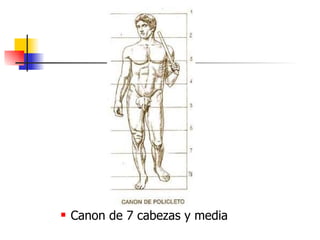 Canon de 7 cabezas y media 