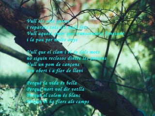 Vull els odis quiets i reparats tots els mals fets Vull aquest amor que transcendeix l'instant i la pau per molts anys Vull que el clam i el so dels mots no siguin reclosos dintre les presons Vull un pom de cançons ben obert i a flor de llavi Perquè la vida és bella Perquè mort vol dir vetlla Perquè el colom és blanc Perquè hi ha flors als camps 