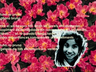 La lluna, la pruna i la gitana bruna Mentre el sol besava foll, arran les parets encalcinades l'ensopiment de la migdiada li’n robava totes les promeses.... i la tarda....., ai, la isolada i llarga tarda....! quantes esgarrifances somouen els pressentiments La lluna, la pruna i la gelosia de tots els romancers, veritat 