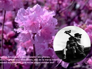 A Carmen Amaya, a la Barceloneta i les gitanes, les seves trapelleries i enredades, des de la meva infantesa en aquest estimat barri que no he pogut oblidar mai 