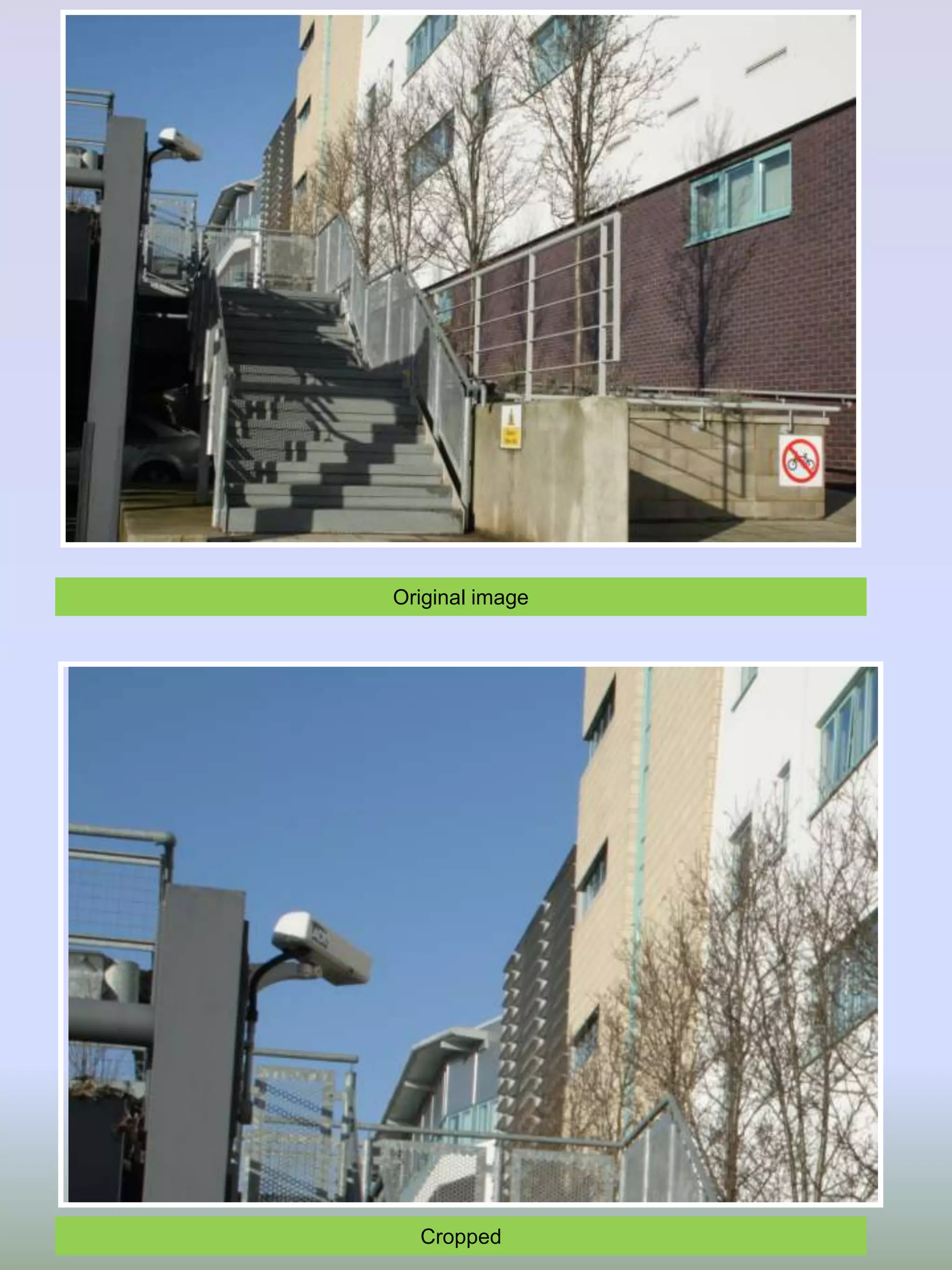 Original image

Cropped

 