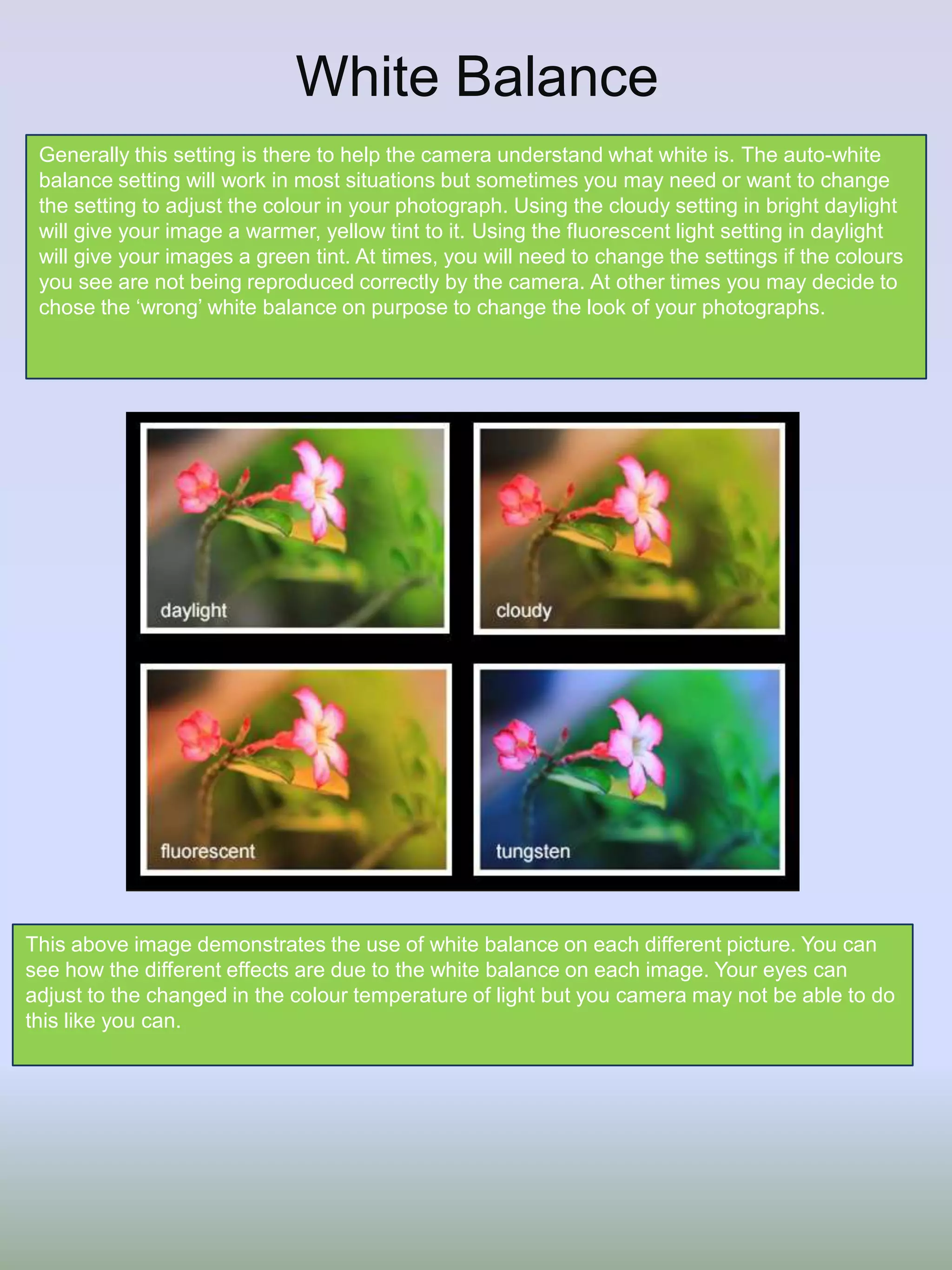 White Balance
Generally this setting is there to help the camera understand what white is. The auto-white
balance setting will work in most situations but sometimes you may need or want to change
the setting to adjust the colour in your photograph. Using the cloudy setting in bright daylight
will give your image a warmer, yellow tint to it. Using the fluorescent light setting in daylight
will give your images a green tint. At times, you will need to change the settings if the colours
you see are not being reproduced correctly by the camera. At other times you may decide to
chose the ‘wrong’ white balance on purpose to change the look of your photographs.

This above image demonstrates the use of white balance on each different picture. You can
see how the different effects are due to the white balance on each image. Your eyes can
adjust to the changed in the colour temperature of light but you camera may not be able to do
this like you can.

 