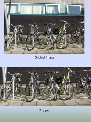 Original Image

Cropped

 