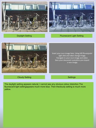 Daylight Setting

Fluorescent Light Setting

Cloudy Setting

Settings

The daylight setting appears natural, I cannot see any obvious colour distortion The
fluorescent light settingappears much more blue. Then thecloudy setting is much more
yellow.

 