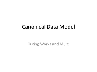 Canonical Data Model
Turing Works and Mule
 