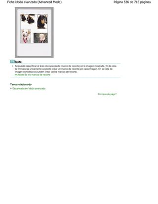 Ficha Modo avanzado (Advanced Mode)                                                             Página 526 de 716 páginas




     Nota
    Se puede especificar el área de escaneado (marco de recorte) en la imagen mostrada. En la vista
    de miniaturas únicamente se podrá crear un marco de recorte por cada imagen. En la vista de
    imagen completa se pueden crear varios marcos de recorte.
      Ajuste de los marcos de recorte



 Tema relacionado
   Escaneado en Modo avanzado

                                                                                 Principio de página
 