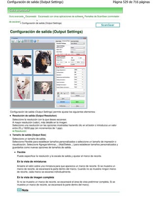 Configuración de salida (Output Settings)                                                            Página 529 de 716 páginas



 Guía avanzada Escaneado Escaneado con otras aplicaciones de software Pantallas de ScanGear (controlador
              >                                                      >
                           >
 de escáner)
           > Configuración de salida (Output Settings)



  Configuración de salida (Output Settings)




  Configuración de salida (Output Settings) permite ajustar los siguientes elementos:
    Resolución de salida (Output Resolution)
    Seleccione la resolución con la que desee escanear.
    A mayor resolución (valor), más detalle en la imagen.
    Seleccione una resolución en las opciones mostradas haciendo clic en el botón o introduzca un valor
    entre 25 y 19200 ppp (en incrementos de 1 ppp).
      Resolución
    Tamaño de salida (Output Size)
    Seleccione un tamaño de salida.
    Seleccione Flexible para establecer tamaños personalizados o seleccione un tamaño de impresión o
    visualización. Seleccione Agregar/eliminar... (Add/Delete...) para establecer tamaños personalizados y
    guardarlos como nuevas opciones de tamaños de salida.

        Flexible
        Puede especificar la resolución y la escala de salida y ajustar el marco de recorte.

        En la vista de miniaturas
        Arrastre el ratón sobre una miniatura para que aparezca un marco de recorte. Si se muestra un
        marco de recorte, se escaneará la parte dentro del marco. Cuando no se muestra ningún marco
        de recorte, cada marco se escanea individualmente.

        En la vista de imagen completa
        Si no se muestra un marco de recorte, se escaneará el área de vista preliminar completa. Si se
        muestra un marco de recorte, se escaneará la parte dentro del marco.

             Nota
 