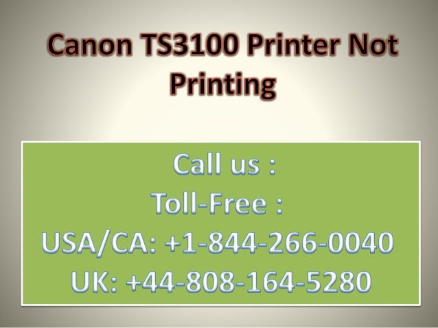 ts3100 printer