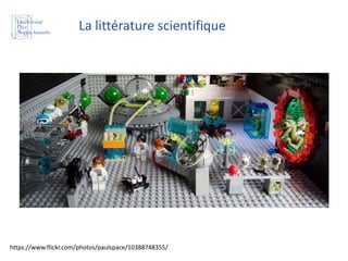 https://www.flickr.com/photos/paulspace/10388748355/
La littérature scientifique
 