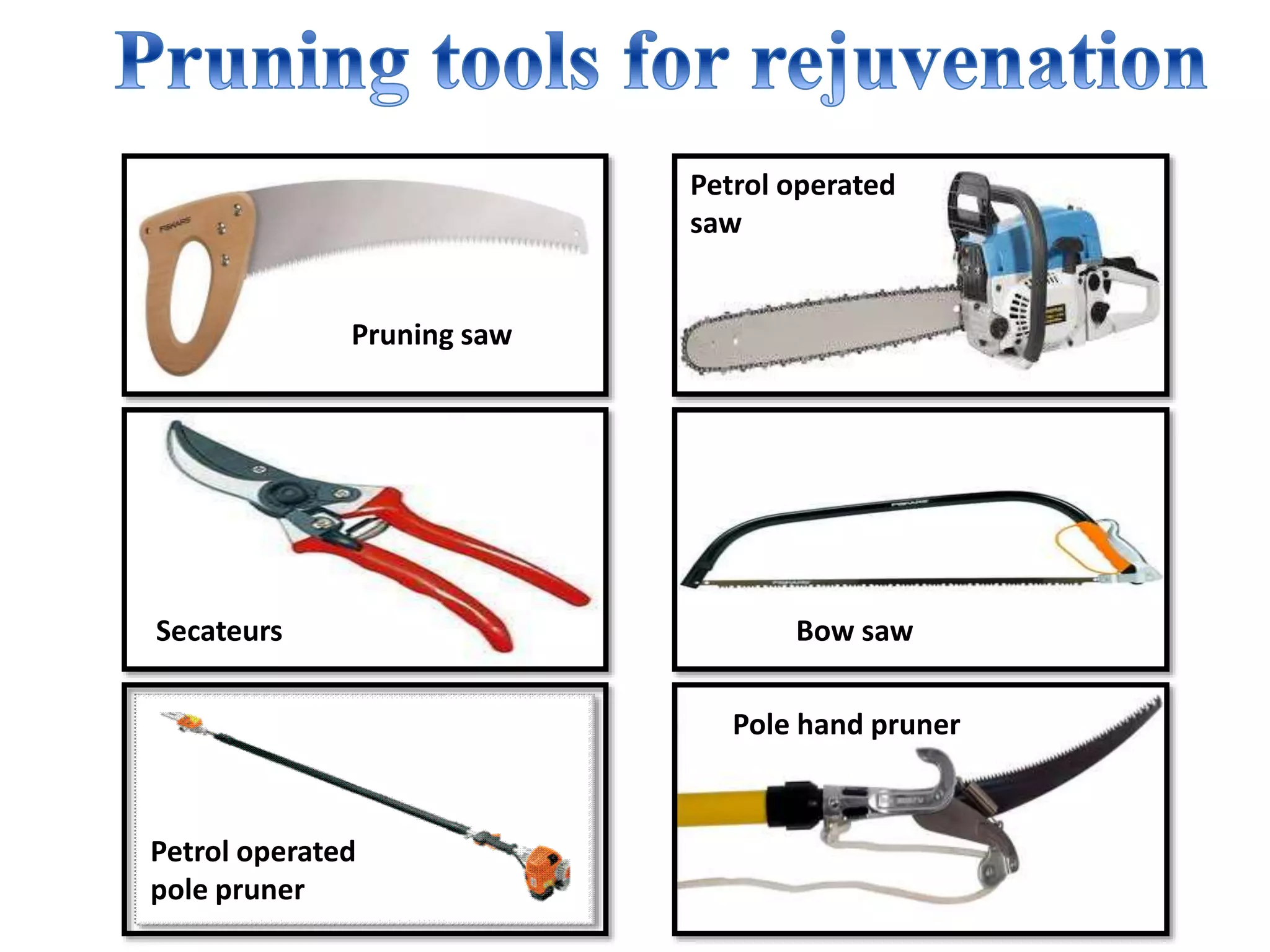 Pruning saw
Petrol operated
saw
Secateurs Bow saw
Pole hand pruner
Petrol operated
pole pruner
 