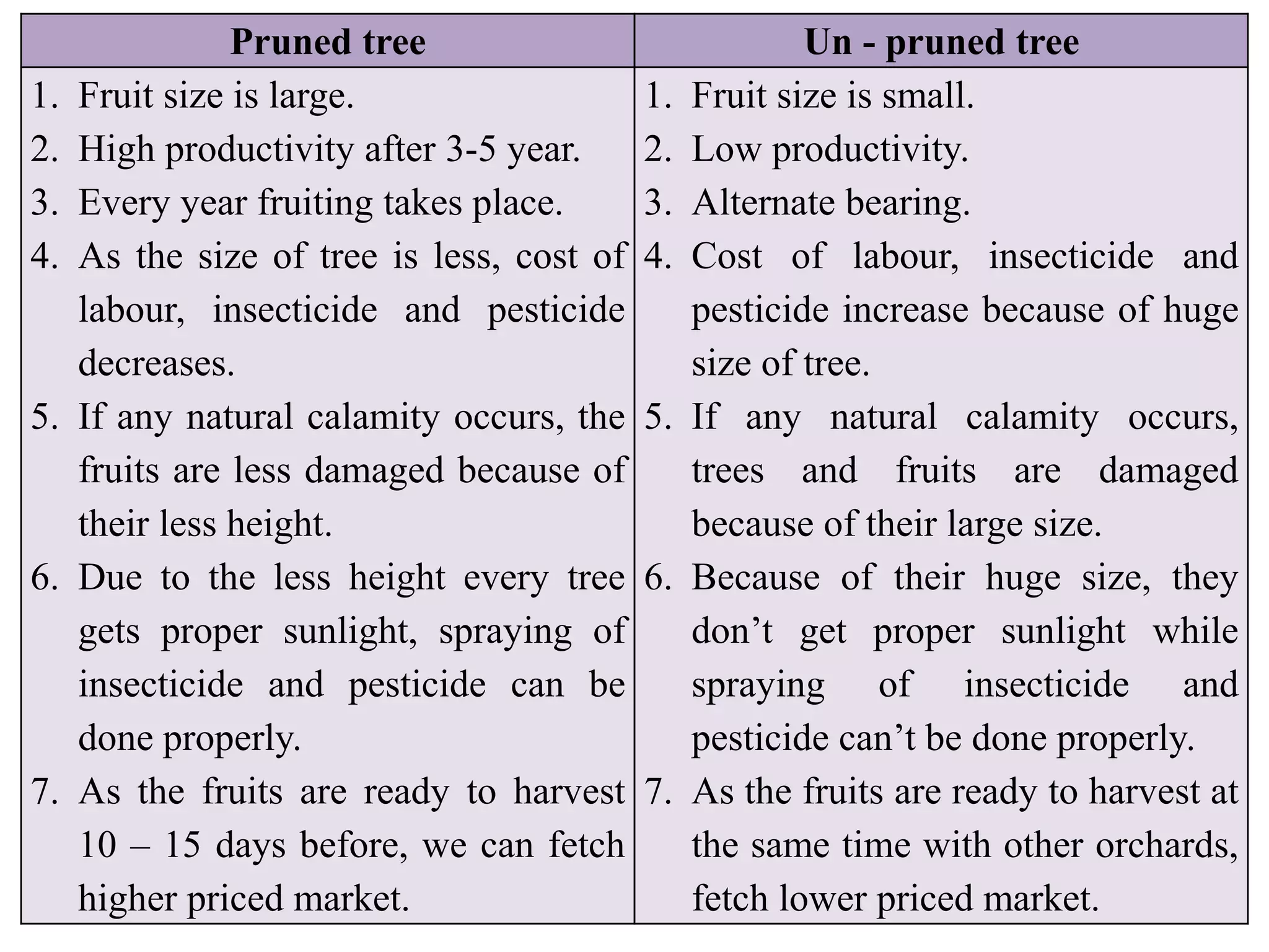 Pruned tree Un - pruned tree
1. Fruit size is large.
2. High productivity after 3-5 year.
3. Every year fruiting takes place.
4. As the size of tree is less, cost of
labour, insecticide and pesticide
decreases.
5. If any natural calamity occurs, the
fruits are less damaged because of
their less height.
6. Due to the less height every tree
gets proper sunlight, spraying of
insecticide and pesticide can be
done properly.
7. As the fruits are ready to harvest
10 – 15 days before, we can fetch
higher priced market.
1. Fruit size is small.
2. Low productivity.
3. Alternate bearing.
4. Cost of labour, insecticide and
pesticide increase because of huge
size of tree.
5. If any natural calamity occurs,
trees and fruits are damaged
because of their large size.
6. Because of their huge size, they
don’t get proper sunlight while
spraying of insecticide and
pesticide can’t be done properly.
7. As the fruits are ready to harvest at
the same time with other orchards,
fetch lower priced market.
 