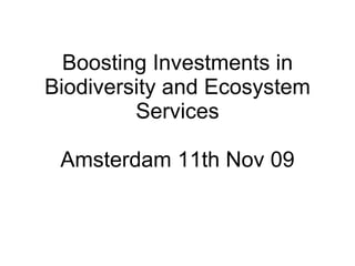 Boosting Investments in Biodiversity and Ecosystem Services Amsterdam 11th Nov 09 