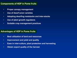 Canopy Managament and HDP in apple.ppt