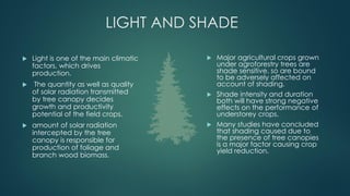LIGHT AND SHADE
 Light is one of the main climatic
factors, which drives
production.
 The quantity as well as quality
of solar radiation transmitted
by tree canopy decides
growth and productivity
potential of the field crops.
 amount of solar radiation
intercepted by the tree
canopy is responsible for
production of foliage and
branch wood biomass.
 Major agricultural crops grown
under agroforestry trees are
shade sensitive. so are bound
to be adversely affected on
account of shading.
 Shade intensity and duration
both will have strong negative
effects on the performance of
understorey crops.
 Many studies have concluded
that shading caused due to
the presence of tree canopies
is a major factor causing crop
yield reduction.
 