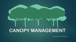 CANOPY MANAGEMENT
ANAND CHARVIN.G
 