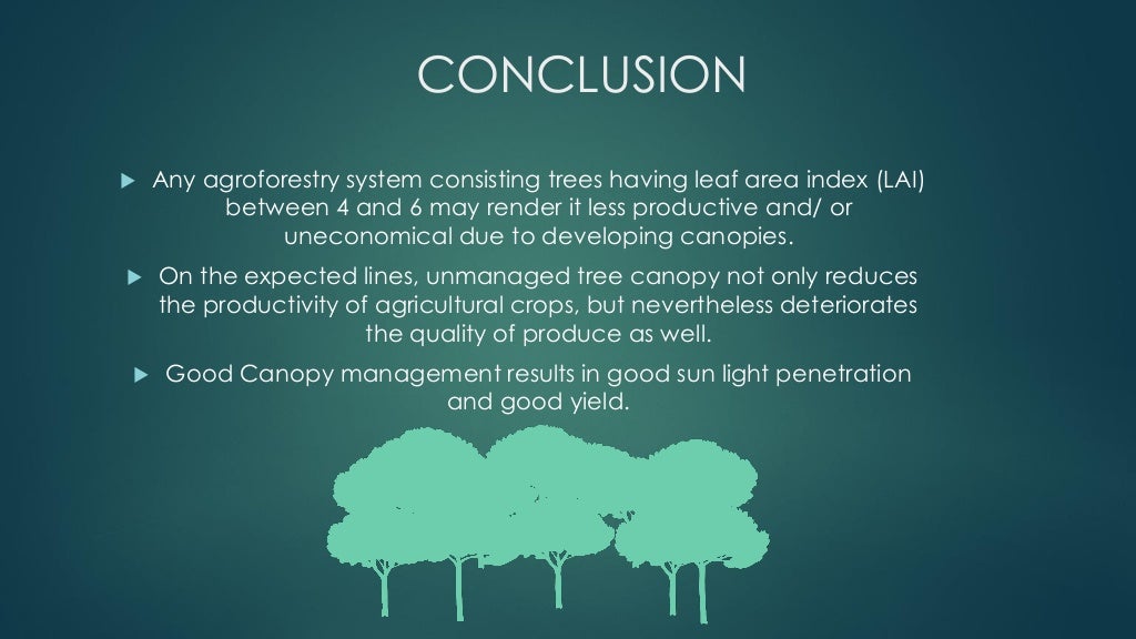 Canopy management Practices & Information