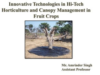 Innovative Technologies in Hi-Tech
Horticulture and Canopy Management in
Fruit Crops
Mr. Amrinder Singh
Assistant Professor
 
