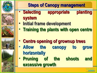 Steps of Canopy managementSteps of Canopy management
• Selecting appropriate plantingSelecting appropriate planting
systemsystem
• Initial frame developmentInitial frame development
• Training the plants with open centreTraining the plants with open centre
• Centre opening of grownup treesCentre opening of grownup trees
• Allow the canopy to growAllow the canopy to grow
horizontallyhorizontally
• Pruning of the shoots andPruning of the shoots and
excessive growthexcessive growth
 