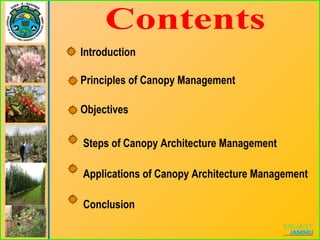 Steps of Canopy Architecture Management
Applications of Canopy Architecture Management
Conclusion
Introduction
Objectives
Principles of Canopy Management
 