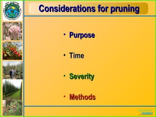 Considerations for pruningConsiderations for pruning
• PurposePurpose
• TimeTime
• SeveritySeverity
• MethodsMethods
 