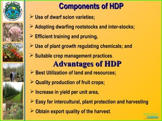  Use of dwarf scion varieties;
 Adopting dwarfing rootstocks and inter-stocks;
 Efficient training and pruning,
 Use of plant growth regulating chemicals; and
 Suitable crop management practices.
Components of HDPComponents of HDP
 Best Utilization of land and resources;
 Quality production of fruit crops;
 Increase in yield per unit area,
 Easy for intercultural, plant protection and harvesting
 Obtain export quality of the harvest.
Advantages of HDPAdvantages of HDP
 
