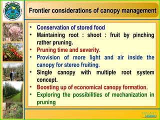Frontier considerations of canopy managementFrontier considerations of canopy management
• Conservation of stored food
• Maintaining root : shoot : fruit by pinching
rather pruning.
• Pruning time and severity.
• Provision of more light and air inside the
canopy for stereo fruiting.
• Single canopy with multiple root system
concept.
• Boosting up of economical canopy formation.
• Exploring the possibilities of mechanization in
pruning
 