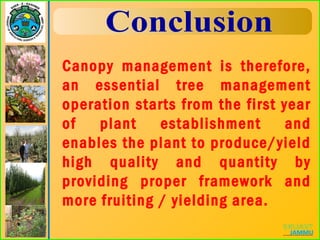 Canopy management is therefore,
an essential tree management
operation starts from the first year
of plant establishment and
enables the plant to produce/yield
high quality and quantity by
providing proper framework and
more fruiting / yielding area.
 