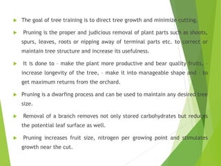 The goal of tree training is to direct tree growth and minimize cutting.
 Pruning is the proper and judicious removal of plant parts such as shoots,
spurs, leaves, roots or nipping away of terminal parts etc. to correct or
maintain tree structure and increase its usefulness.
 It is done to – make the plant more productive and bear quality fruits, –
increase longevity of the tree, – make it into manageable shape and – to
get maximum returns from the orchard.
 Pruning is a dwarfing process and can be used to maintain any desired tree
size.
 Removal of a branch removes not only stored carbohydrates but reduces
the potential leaf surface as well.
 Pruning increases fruit size, nitrogen per growing point and stimulates
growth near the cut.
 