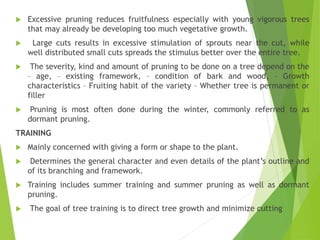  Excessive pruning reduces fruitfulness especially with young vigorous trees
that may already be developing too much vegetative growth.
 Large cuts results in excessive stimulation of sprouts near the cut, while
well distributed small cuts spreads the stimulus better over the entire tree.
 The severity, kind and amount of pruning to be done on a tree depend on the
– age, – existing framework, – condition of bark and wood, – Growth
characteristics – Fruiting habit of the variety – Whether tree is permanent or
filler
 Pruning is most often done during the winter, commonly referred to as
dormant pruning.
TRAINING
 Mainly concerned with giving a form or shape to the plant.
 Determines the general character and even details of the plant’s outline and
of its branching and framework.
 Training includes summer training and summer pruning as well as dormant
pruning.
 The goal of tree training is to direct tree growth and minimize cutting
 