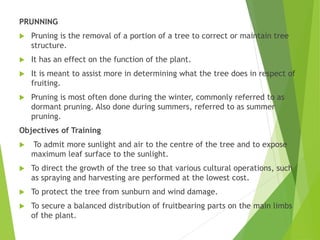 PRUNNING
 Pruning is the removal of a portion of a tree to correct or maintain tree
structure.
 It has an effect on the function of the plant.
 It is meant to assist more in determining what the tree does in respect of
fruiting.
 Pruning is most often done during the winter, commonly referred to as
dormant pruning. Also done during summers, referred to as summer
pruning.
Objectives of Training
 To admit more sunlight and air to the centre of the tree and to expose
maximum leaf surface to the sunlight.
 To direct the growth of the tree so that various cultural operations, such
as spraying and harvesting are performed at the lowest cost.
 To protect the tree from sunburn and wind damage.
 To secure a balanced distribution of fruitbearing parts on the main limbs
of the plant.
 