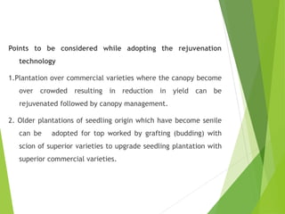Points to be considered while adopting the rejuvenation
technology
1.Plantation over commercial varieties where the canopy become
over crowded resulting in reduction in yield can be
rejuvenated followed by canopy management.
2. Older plantations of seedling origin which have become senile
can be adopted for top worked by grafting (budding) with
scion of superior varieties to upgrade seedling plantation with
superior commercial varieties.
 