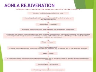 AONLA REJUVENATION
 
