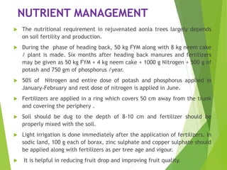 NUTRIENT MANAGEMENT
 The nutritional requirement in rejuvenated aonla trees largely depends
on soil fertility and production.
 During the phase of heading back, 50 kg FYM along with 8 kg neem cake
/ plant is made. Six months after heading back manures and fertilizers
may be given as 50 kg FYM + 4 kg neem cake + 1000 g Nitrogen + 500 g of
potash and 750 gm of phosphorus /year.
 50% of Nitrogen and entire dose of potash and phosphorus applied in
January-February and rest dose of nitrogen is applied in June.
 Fertilizers are applied in a ring which covers 50 cm away from the trunk
and covering the periphery .
 Soil should be dug to the depth of 8-10 cm and fertilizer should be
properly mixed with the soil.
 Light irrigation is done immediately after the application of fertilizers. In
sodic land, 100 g each of borax, zinc sulphate and copper sulphate should
be applied along with fertilizers as per tree age and vigour.
 It is helpful in reducing fruit drop and improving fruit quality.
 