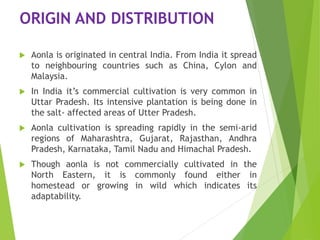 ORIGIN AND DISTRIBUTION
 Aonla is originated in central India. From India it spread
to neighbouring countries such as China, Cylon and
Malaysia.
 In India it’s commercial cultivation is very common in
Uttar Pradesh. Its intensive plantation is being done in
the salt- affected areas of Utter Pradesh.
 Aonla cultivation is spreading rapidly in the semi-arid
regions of Maharashtra, Gujarat, Rajasthan, Andhra
Pradesh, Karnataka, Tamil Nadu and Himachal Pradesh.
 Though aonla is not commercially cultivated in the
North Eastern, it is commonly found either in
homestead or growing in wild which indicates its
adaptability.
 