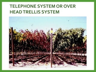 TELEPHONE SYSTEM OR OVER
HEADTRELLIS SYSTEM
 