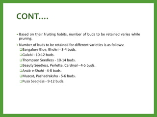 CONT….
• Based on their fruiting habits, number of buds to be retained varies while
pruning.
• Number of buds to be retained for different varieties is as follows:
Bangalore Blue, Bhokri - 3-4 buds.
Gulabi - 10-12 buds.
Thompson Seedless - 10-14 buds.
Beauty Seedless, Perlette, Cardinal - 4-5 buds.
Anab-e-Shahi - 4-8 buds.
Muscat, Pachadraksha - 5-6 buds.
Pusa Seedless - 9-12 buds.
 