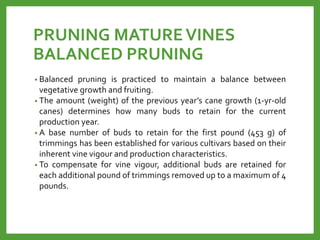 PRUNING MATUREVINES
BALANCED PRUNING
• Balanced pruning is practiced to maintain a balance between
vegetative growth and fruiting.
• The amount (weight) of the previous year’s cane growth (1-yr-old
canes) determines how many buds to retain for the current
production year.
• A base number of buds to retain for the first pound (453 g) of
trimmings has been established for various cultivars based on their
inherent vine vigour and production characteristics.
• To compensate for vine vigour, additional buds are retained for
each additional pound of trimmings removed up to a maximum of 4
pounds.
 
