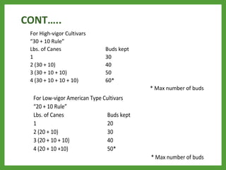 For High-vigor Cultivars
“30 + 10 Rule”
Lbs. of Canes Buds kept
1 30
2 (30 + 10) 40
3 (30 + 10 + 10) 50
4 (30 + 10 + 10 + 10) 60*
* Max number of buds
For Low-vigor American Type Cultivars
“20 + 10 Rule”
Lbs. of Canes Buds kept
1 20
2 (20 + 10) 30
3 (20 + 10 + 10) 40
4 (20 + 10 +10) 50*
* Max number of buds
CONT…..
 