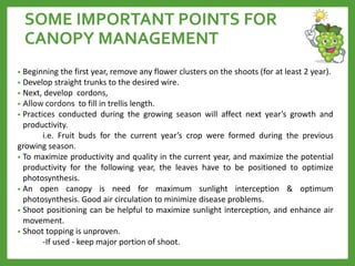 SOME IMPORTANT POINTS FOR
CANOPY MANAGEMENT
• Beginning the first year, remove any flower clusters on the shoots (for at least 2 year).
• Develop straight trunks to the desired wire.
• Next, develop cordons,
• Allow cordons to fill in trellis length.
• Practices conducted during the growing season will affect next year’s growth and
productivity.
i.e. Fruit buds for the current year’s crop were formed during the previous
growing season.
• To maximize productivity and quality in the current year, and maximize the potential
productivity for the following year, the leaves have to be positioned to optimize
photosynthesis.
• An open canopy is need for maximum sunlight interception & optimum
photosynthesis. Good air circulation to minimize disease problems.
• Shoot positioning can be helpful to maximize sunlight interception, and enhance air
movement.
• Shoot topping is unproven.
-If used - keep major portion of shoot.
 