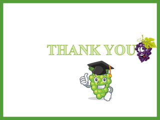 Canopy managemnt in grapes