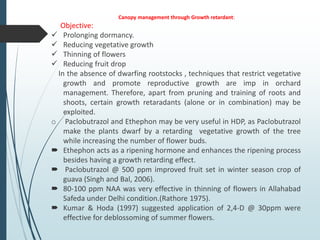 Canopy management through Growth retardant:
Objective:
 Prolonging dormancy.
 Reducing vegetative growth
 Thinning of flowers
 Reducing fruit drop
In the absence of dwarfing rootstocks , techniques that restrict vegetative
growth and promote reproductive growth are imp in orchard
management. Therefore, apart from pruning and training of roots and
shoots, certain growth retaradants (alone or in combination) may be
exploited.
o Paclobutrazol and Ethephon may be very useful in HDP, as Paclobutrazol
make the plants dwarf by a retarding vegetative growth of the tree
while increasing the number of flower buds.
 Ethephon acts as a ripening hormone and enhances the ripening process
besides having a growth retarding effect.
 Paclobutrazol @ 500 ppm improved fruit set in winter season crop of
guava (Singh and Bal, 2006).
 80-100 ppm NAA was very effective in thinning of flowers in Allahabad
Safeda under Delhi condition.(Rathore 1975).
 Kumar & Hoda (1997) suggested application of 2,4-D @ 30ppm were
effective for deblossoming of summer flowers.
 