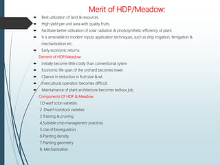 Merit of HDP/Meadow:
 Best utilization of land & resources.
 High yield per unit area with quality fruits.
 Facilitate better utilization of solar radiation & photosynthetic efficiency of plant.
 It is amenable to modern inputs application techniques, such as drip irrigation, fertigation &
mechanization etc.
 Early economic returns.
Demerit of HDP/Meadow:
 Initially become little costly than conventional sytem
 Economic life span of the orchard becomes lower.
 Chance in reduction in fruit size & wt.
 Intercultural operation becomes difficult.
 Maintainance of plant architecture becomes tedious job.
Components Of HDP & Meadow:
1.D warf scion varieties
2. Dwarf rootstock varieties
3.Training & pruning
4.Suitable crop management practices
5.Use of bioregulators
6.Planting density
7.Planting geometry
8. Mechanization
 