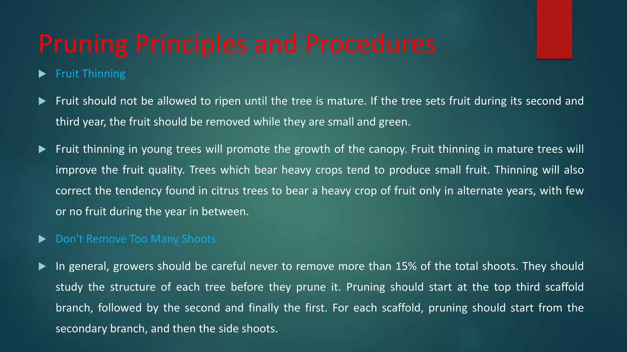 Pruning Principles and Procedures
 Fruit Thinning
 Fruit should not be allowed to ripen until the tree is mature. If the tree sets fruit during its second and
third year, the fruit should be removed while they are small and green.
 Fruit thinning in young trees will promote the growth of the canopy. Fruit thinning in mature trees will
improve the fruit quality. Trees which bear heavy crops tend to produce small fruit. Thinning will also
correct the tendency found in citrus trees to bear a heavy crop of fruit only in alternate years, with few
or no fruit during the year in between.
 Don't Remove Too Many Shoots
 In general, growers should be careful never to remove more than 15% of the total shoots. They should
study the structure of each tree before they prune it. Pruning should start at the top third scaffold
branch, followed by the second and finally the first. For each scaffold, pruning should start from the
secondary branch, and then the side shoots.
 