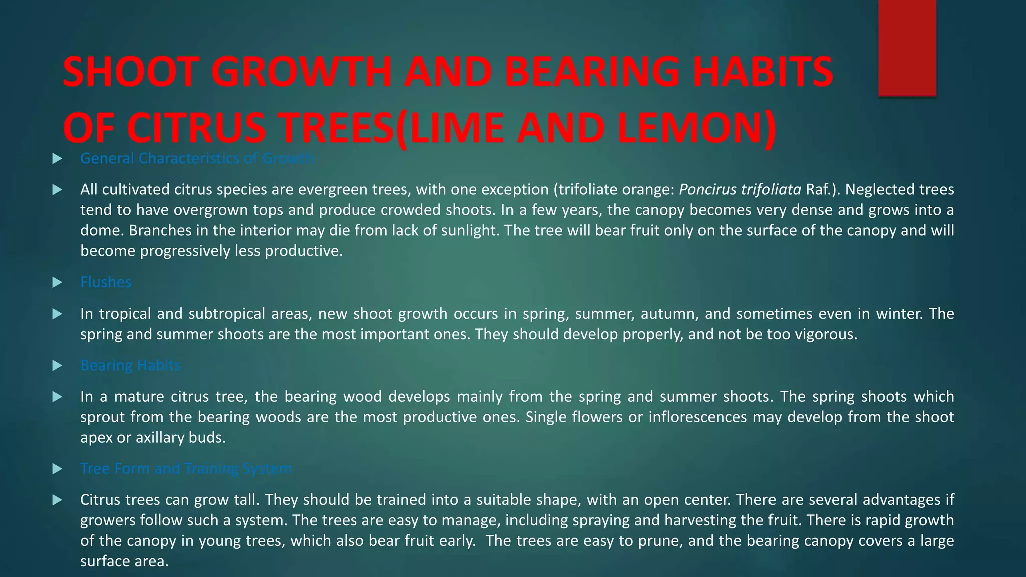 SHOOT GROWTH AND BEARING HABITS
OF CITRUS TREES(LIME AND LEMON)
 General Characteristics of Growth
 All cultivated citrus species are evergreen trees, with one exception (trifoliate orange: Poncirus trifoliata Raf.). Neglected trees
tend to have overgrown tops and produce crowded shoots. In a few years, the canopy becomes very dense and grows into a
dome. Branches in the interior may die from lack of sunlight. The tree will bear fruit only on the surface of the canopy and will
become progressively less productive.
 Flushes
 In tropical and subtropical areas, new shoot growth occurs in spring, summer, autumn, and sometimes even in winter. The
spring and summer shoots are the most important ones. They should develop properly, and not be too vigorous.
 Bearing Habits
 In a mature citrus tree, the bearing wood develops mainly from the spring and summer shoots. The spring shoots which
sprout from the bearing woods are the most productive ones. Single flowers or inflorescences may develop from the shoot
apex or axillary buds.
 Tree Form and Training System
 Citrus trees can grow tall. They should be trained into a suitable shape, with an open center. There are several advantages if
growers follow such a system. The trees are easy to manage, including spraying and harvesting the fruit. There is rapid growth
of the canopy in young trees, which also bear fruit early. The trees are easy to prune, and the bearing canopy covers a large
surface area.
 