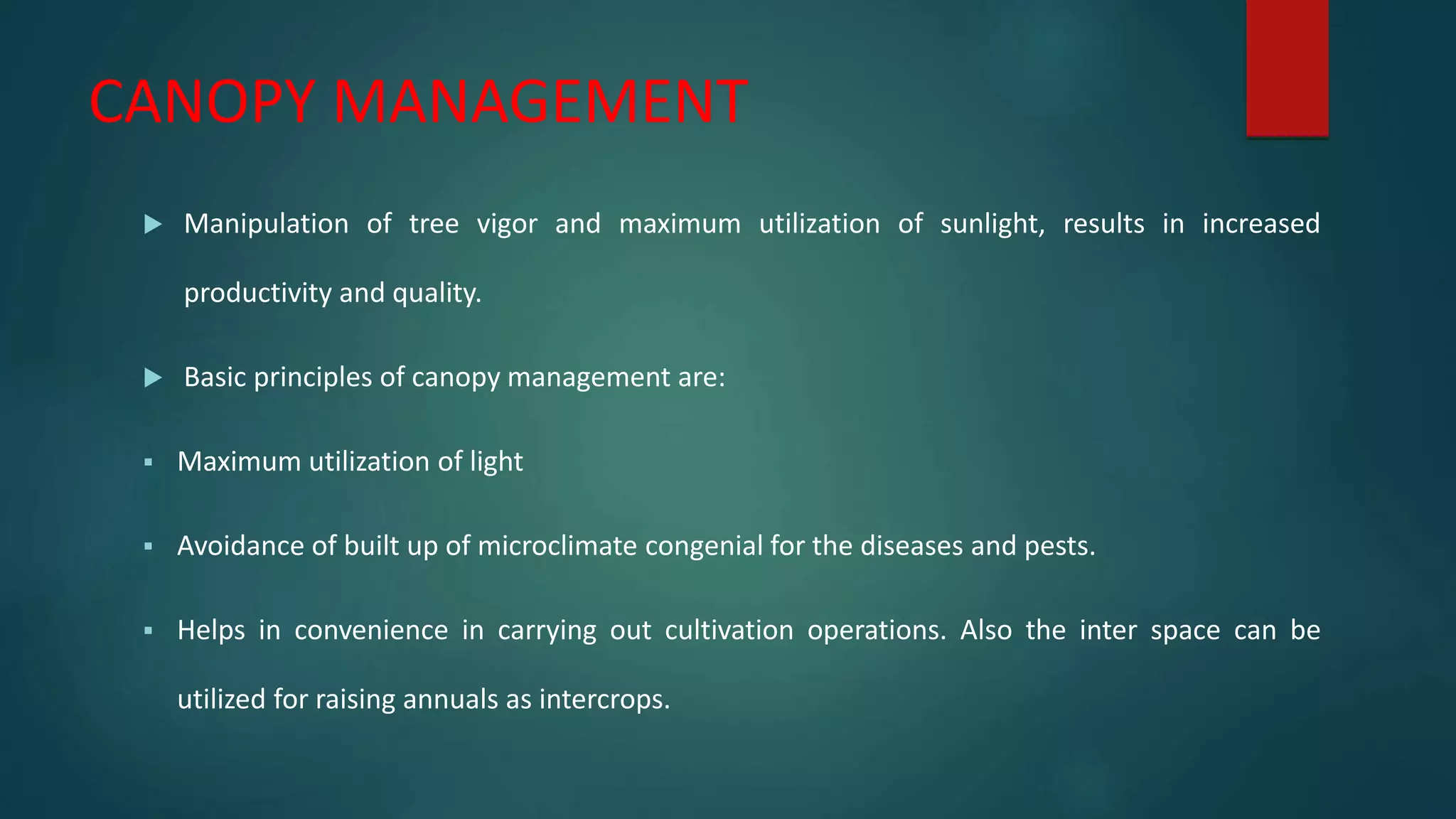 CANOPY MANAGEMENT
 Manipulation of tree vigor and maximum utilization of sunlight, results in increased
productivity and quality.
 Basic principles of canopy management are:
 Maximum utilization of light
 Avoidance of built up of microclimate congenial for the diseases and pests.
 Helps in convenience in carrying out cultivation operations. Also the inter space can be
utilized for raising annuals as intercrops.
 