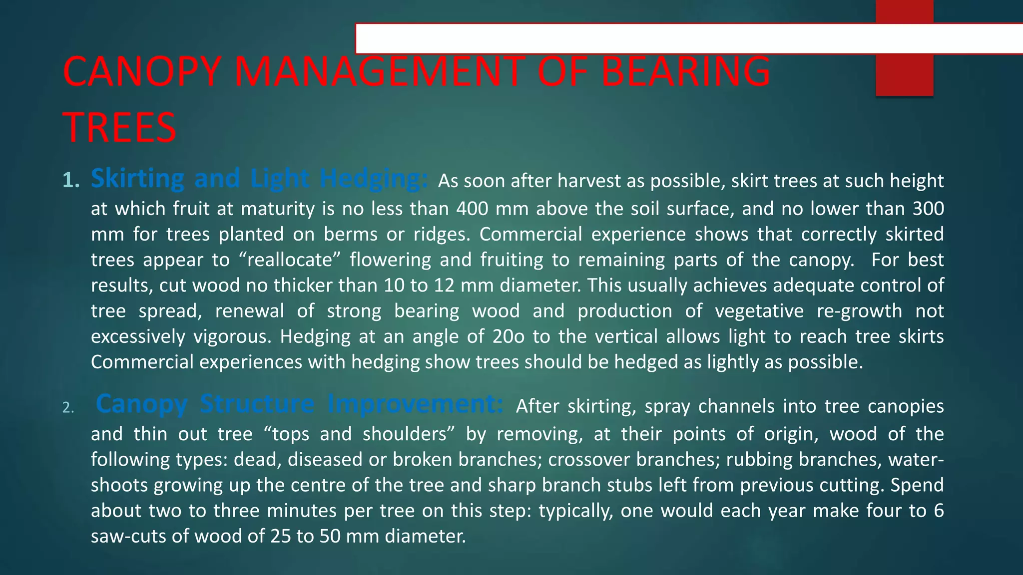 CANOPY MANAGEMENT OF BEARING
TREES
1. Skirting and Light Hedging: As soon after harvest as possible, skirt trees at such height
at which fruit at maturity is no less than 400 mm above the soil surface, and no lower than 300
mm for trees planted on berms or ridges. Commercial experience shows that correctly skirted
trees appear to “reallocate” flowering and fruiting to remaining parts of the canopy. For best
results, cut wood no thicker than 10 to 12 mm diameter. This usually achieves adequate control of
tree spread, renewal of strong bearing wood and production of vegetative re-growth not
excessively vigorous. Hedging at an angle of 20o to the vertical allows light to reach tree skirts
Commercial experiences with hedging show trees should be hedged as lightly as possible.
2. Canopy Structure Improvement: After skirting, spray channels into tree canopies
and thin out tree “tops and shoulders” by removing, at their points of origin, wood of the
following types: dead, diseased or broken branches; crossover branches; rubbing branches, water-
shoots growing up the centre of the tree and sharp branch stubs left from previous cutting. Spend
about two to three minutes per tree on this step: typically, one would each year make four to 6
saw-cuts of wood of 25 to 50 mm diameter.
 