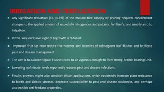 IRRIGATION AND FERTILIZATION
 Any significant reduction (i.e. >15%) of the mature tree canopy by pruning requires concomitant
changes to the applied amount of especially nitrogenous and potassic fertilizer's, and usually also to
irrigation.
 In this way, excessive vigor of regrowth is reduced.
 Improved fruit set may reduce the number and intensity of subsequent leaf flushes and facilitate
pest and disease management.
 The aim is to balance vigour. Flushes need to be vigorous enough to form strong Branch Bearing Unit.
 Lowering leaf nitrate levels reportedly reduces pest and disease infections.
 Finally, growers might also consider silicon applications, which reportedly increase plant resistance
to biotic and abiotic stresses, decrease susceptibility to pest and disease outbreaks, and perhaps
also exhibit anti-feedant properties.
 