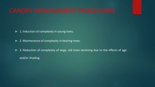 CANOPY MANAGEMENT PROCEDURES
 1. Induction of complexity in young trees.
 2. Maintenance of complexity in bearing trees.
 3. Reduction of complexity of large, old trees declining due to the effects of age
and/or shading.
 