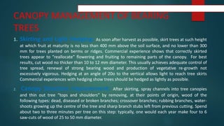 CANOPY MANAGEMENT OF BEARING
TREES
1. Skirting and Light Hedging: As soon after harvest as possible, skirt trees at such height
at which fruit at maturity is no less than 400 mm above the soil surface, and no lower than 300
mm for trees planted on berms or ridges. Commercial experience shows that correctly skirted
trees appear to “reallocate” flowering and fruiting to remaining parts of the canopy. For best
results, cut wood no thicker than 10 to 12 mm diameter. This usually achieves adequate control of
tree spread, renewal of strong bearing wood and production of vegetative re-growth not
excessively vigorous. Hedging at an angle of 20o to the vertical allows light to reach tree skirts
Commercial experiences with hedging show trees should be hedged as lightly as possible.
2. Canopy Structure Improvement: After skirting, spray channels into tree canopies
and thin out tree “tops and shoulders” by removing, at their points of origin, wood of the
following types: dead, diseased or broken branches; crossover branches; rubbing branches, water-
shoots growing up the centre of the tree and sharp branch stubs left from previous cutting. Spend
about two to three minutes per tree on this step: typically, one would each year make four to 6
saw-cuts of wood of 25 to 50 mm diameter.
 